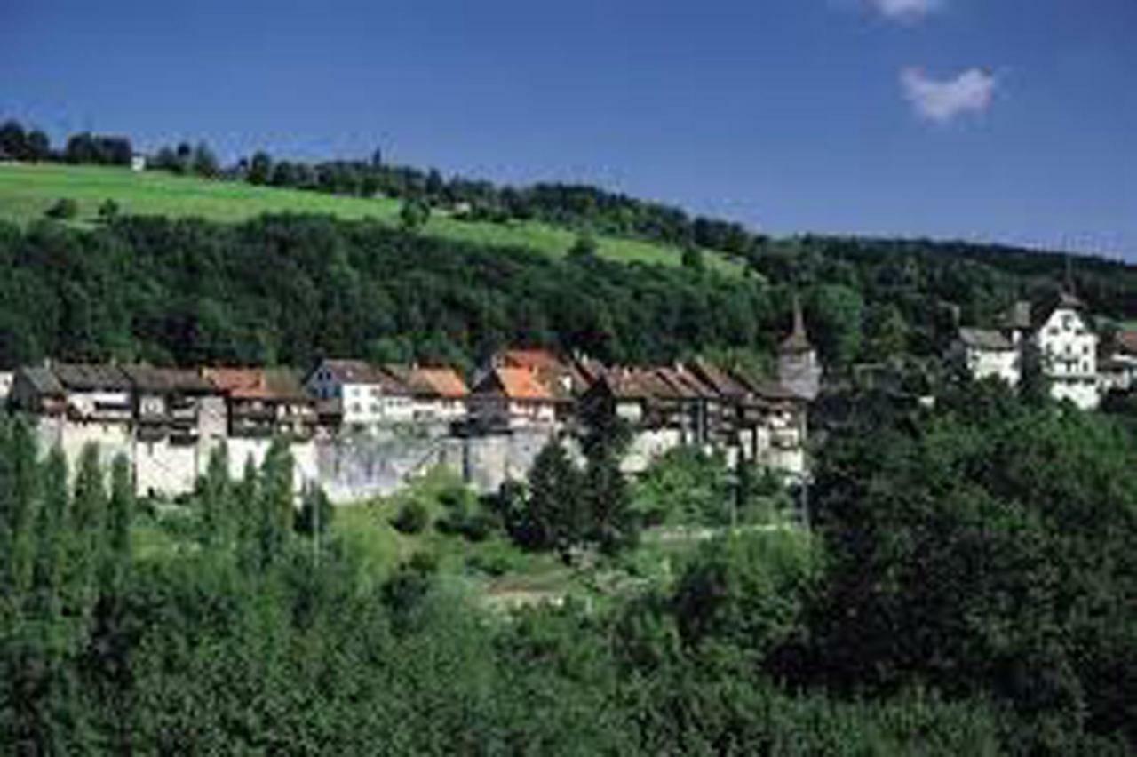 Maison Du Fey Hotel Moudon Екстериор снимка